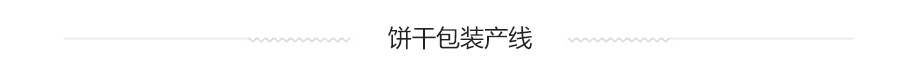 餅干食品包裝產(chǎn)線系統(tǒng)方案